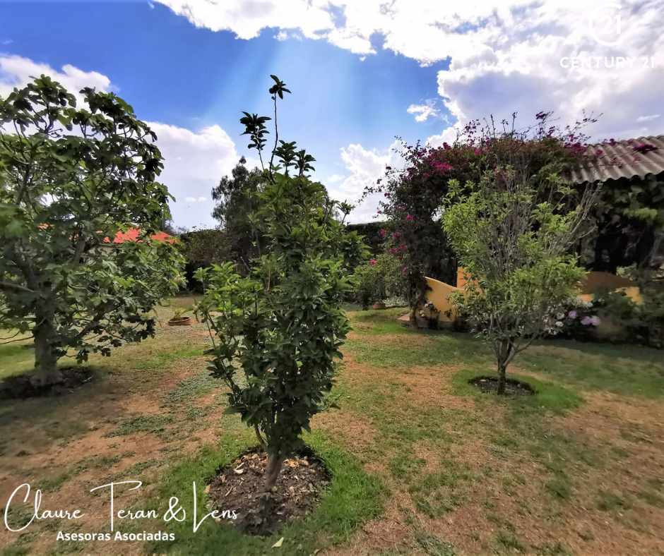 Quinta propiedad agrícola en VentaCASA DE CAMPO - APOTE - TIQUIPAYA - 3879 m2 de terreno Foto 11
