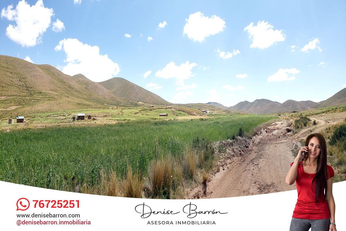Terreno en VentaCARRETERA LA PAZ - ORURO, TERRENO EN VENTA EN VILA VILA    Foto 1