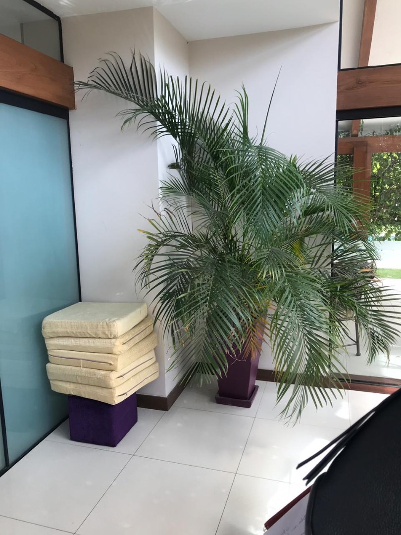 Casa en AlquilerBELLA CASA AMOBLADA EN ALQUILER Foto 19