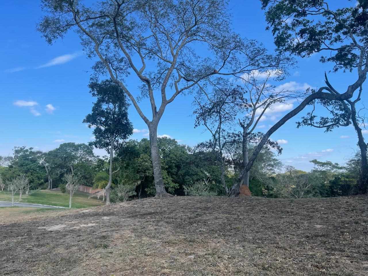Terreno en VentaHermosos terrenos en altura en condominio Las Palmas del Urubo I    Foto 8