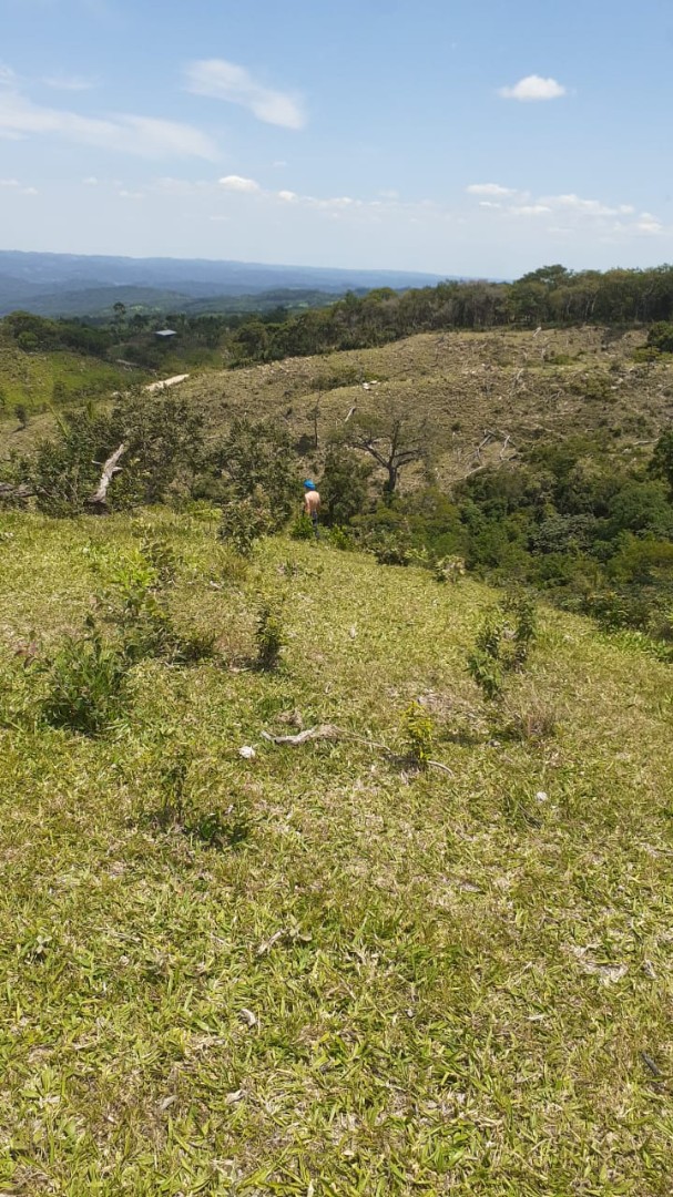 Quinta propiedad agrícola en Doble vía La Guardia en Santa Cruz de la Sierra    Foto 20