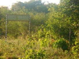 Terreno en VentaROBORÉ frente a rotonda de ingreso y gasolinera, sobre Carretera Bioceánica    Foto 17