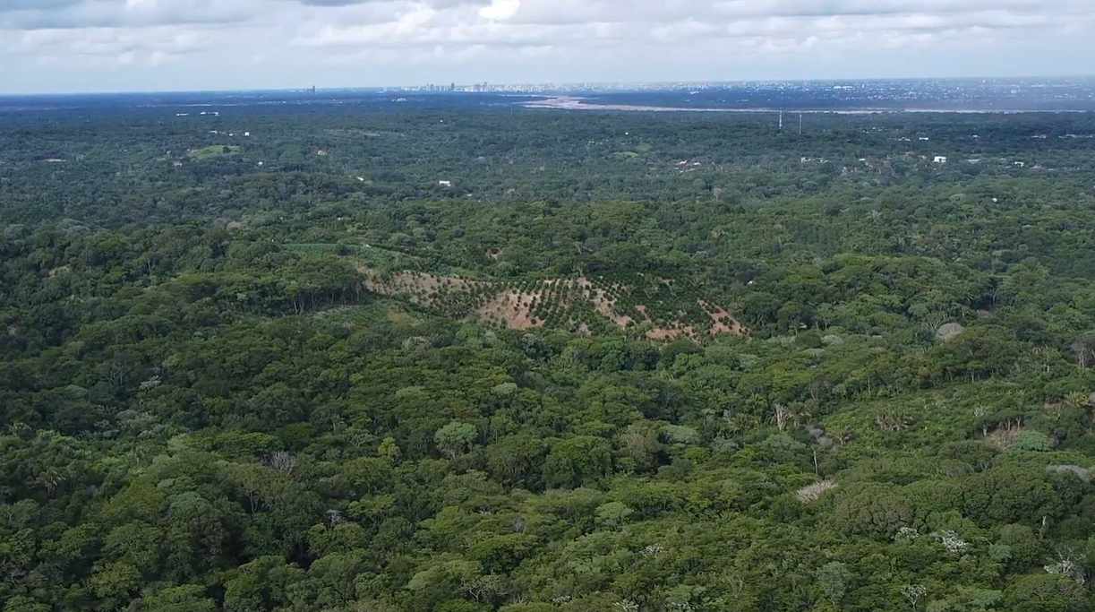 Quinta propiedad agrícola Propiedad Urbana en Porongo Foto 4