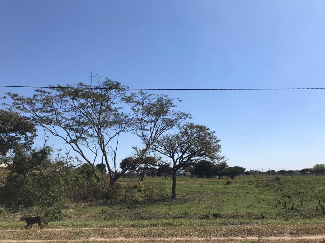 En Venta a $us 14,000 Foto 1