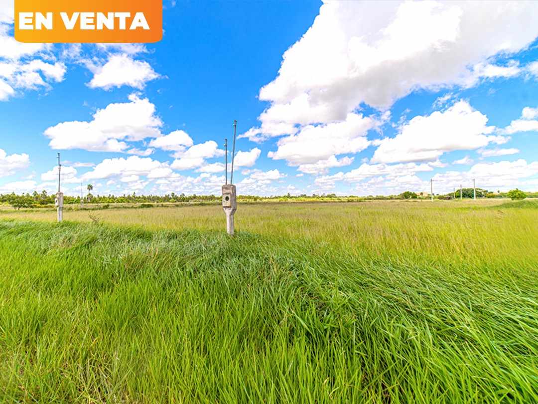 Terreno en Carretera Norte en Santa Cruz de la Sierra    Foto 2