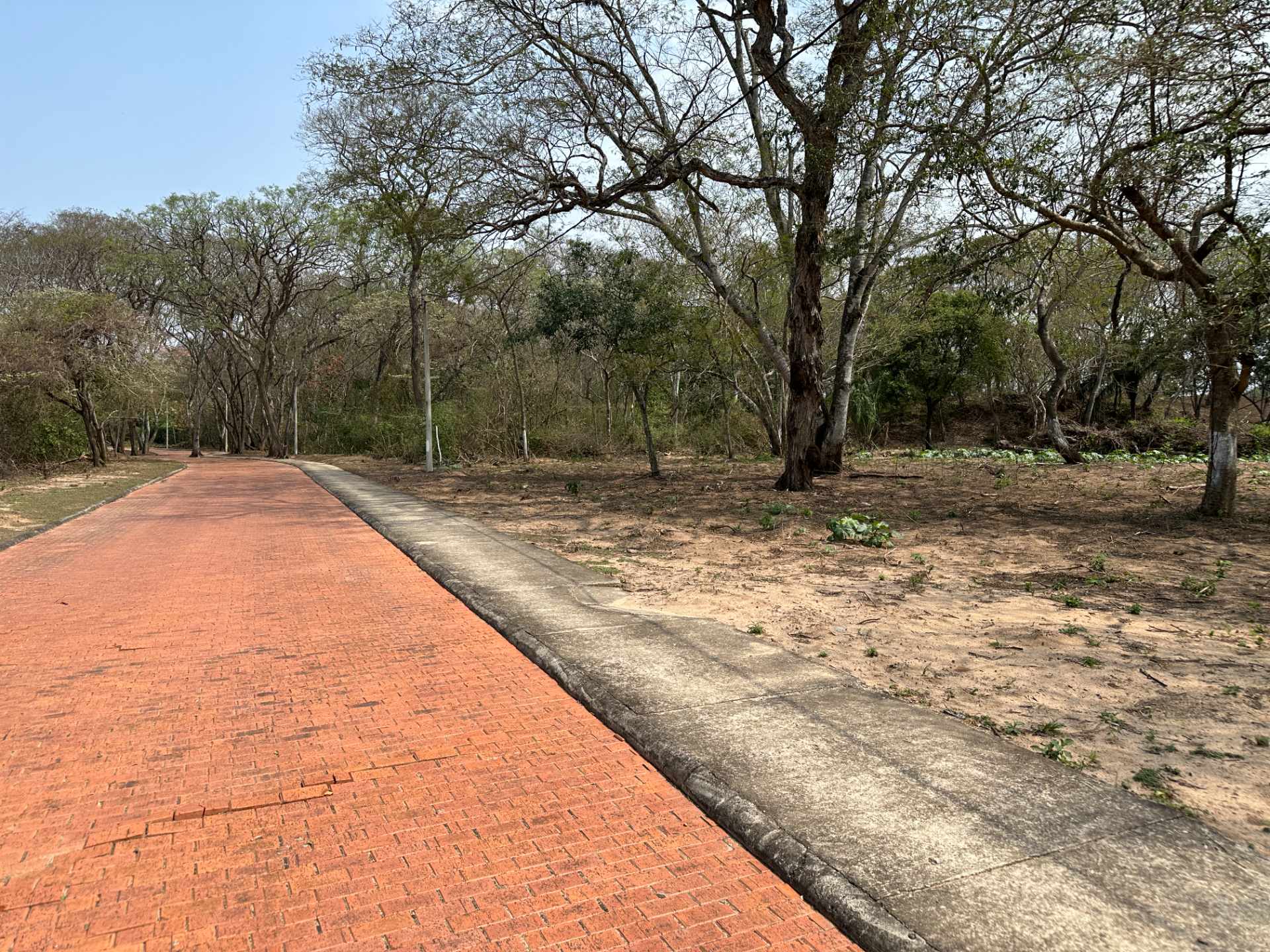 Terreno en Urubó en Santa Cruz de la Sierra    Foto 4