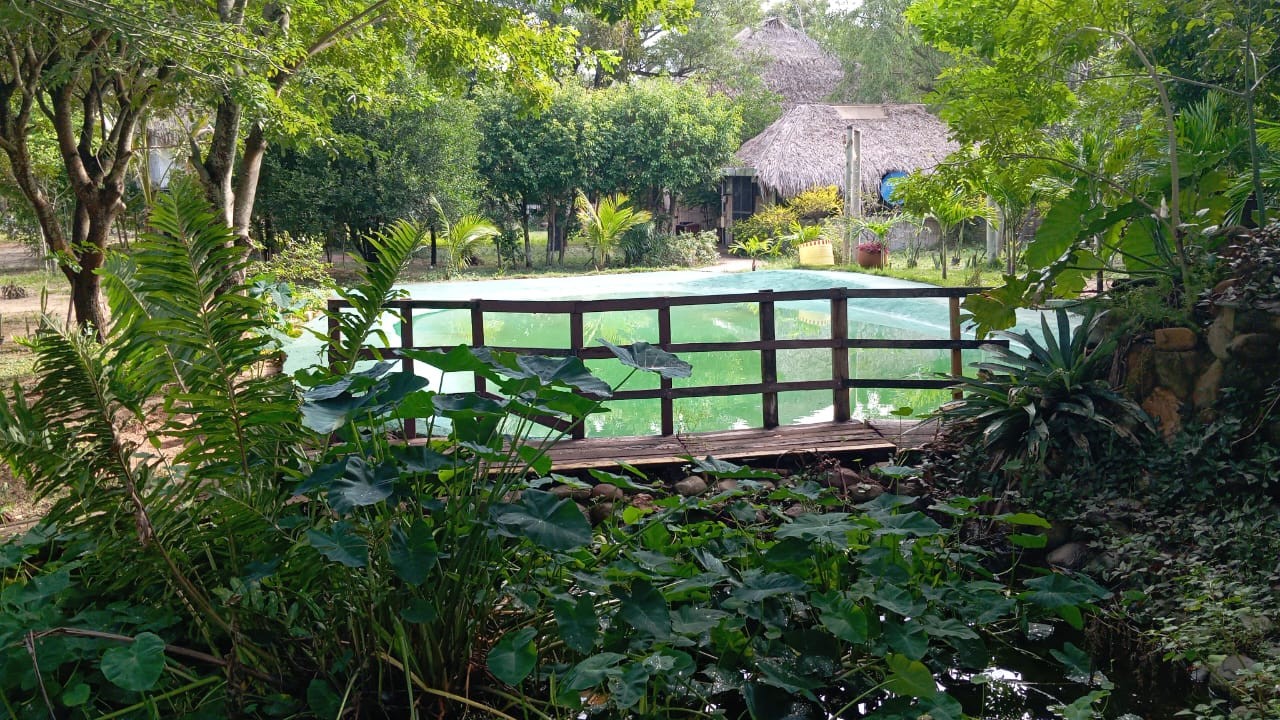 Local comercial en Alquiler4to anillo Urubo   10 baños  Foto 4