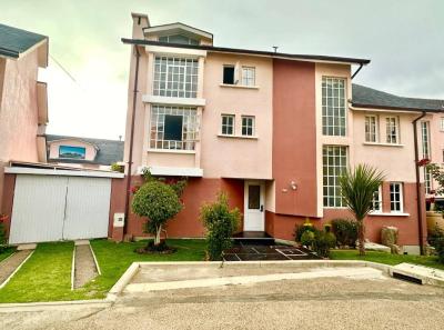 8cba52904098a5cacb0ab641d56848c333d7b1