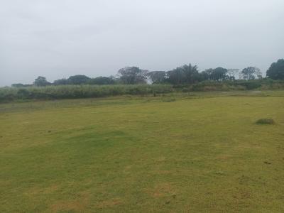 8cbc6176c509a820b6bbd607c1b8317aa6dd82