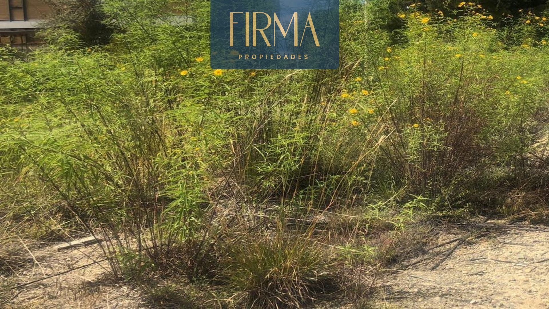 Terreno en VentaCOMPRA TU TERRENO EN UMAMANTA Foto 5