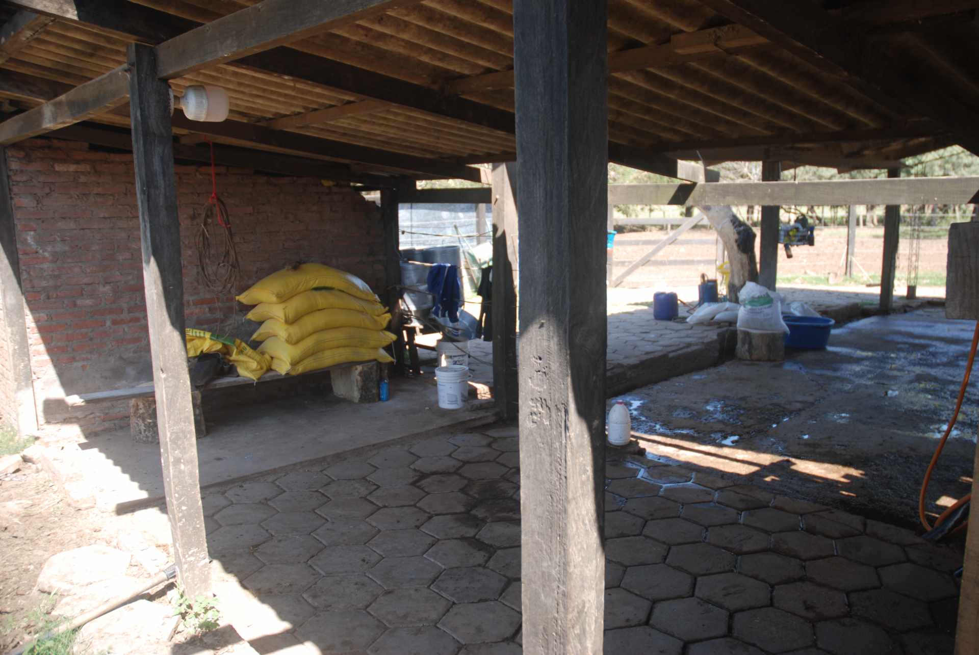 Quinta propiedad agrícola en Venta A 20mn de Warnes  vendo una Hermosa  Lecheria productiva  de 56ha  Foto 32