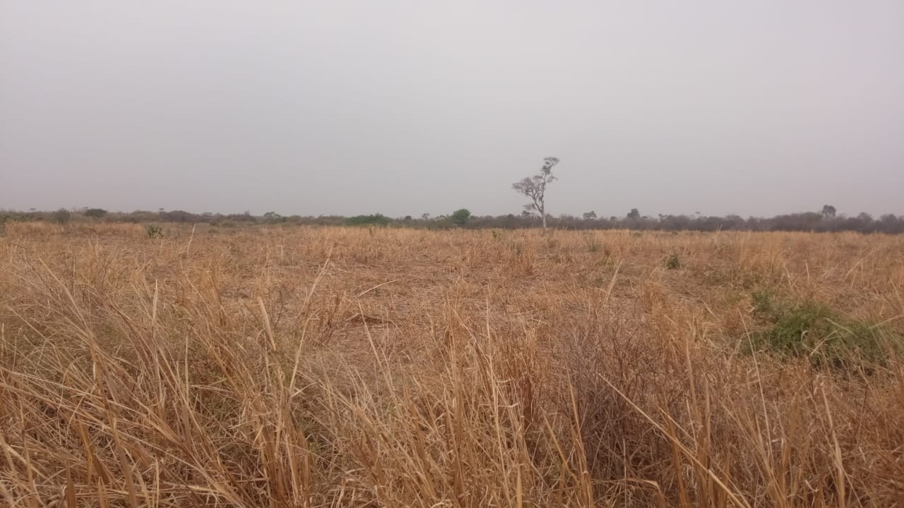 Quinta propiedad agrícola en VentaLinda propiedad  agricola  de 604ha por Pailon Sur, 70km entrando    Foto 17