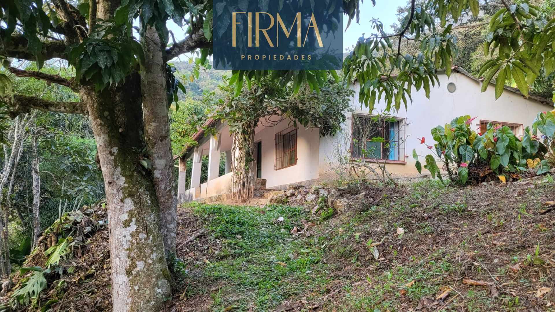 Terreno en Coroico en Coroico    Foto 10