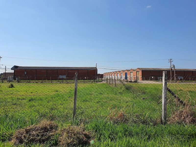 Galpón en Entre 4to y 5to anillo Este en Santa Cruz de la Sierra    Foto 2