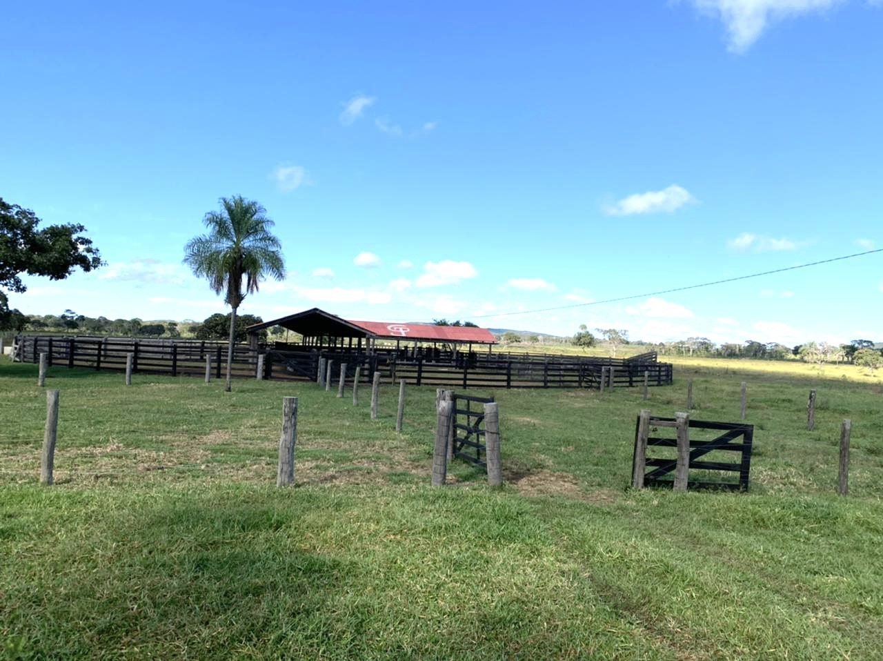 Quinta propiedad agrícola en VentaConcepción: 1.980 Hectáreas Ganaderas sobre Carretera Foto 9