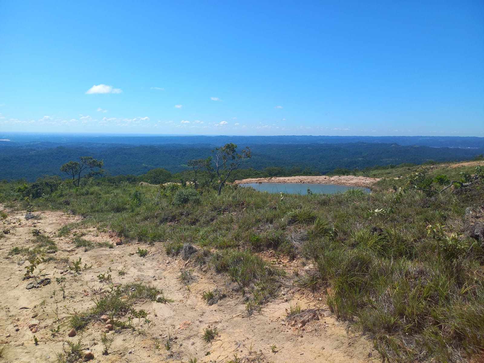 Quinta propiedad agrícola en Doble vía La Guardia en Santa Cruz de la Sierra    Foto 6