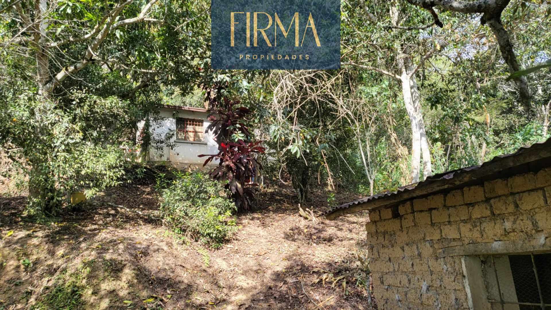 Terreno en Coroico en Coroico    Foto 6