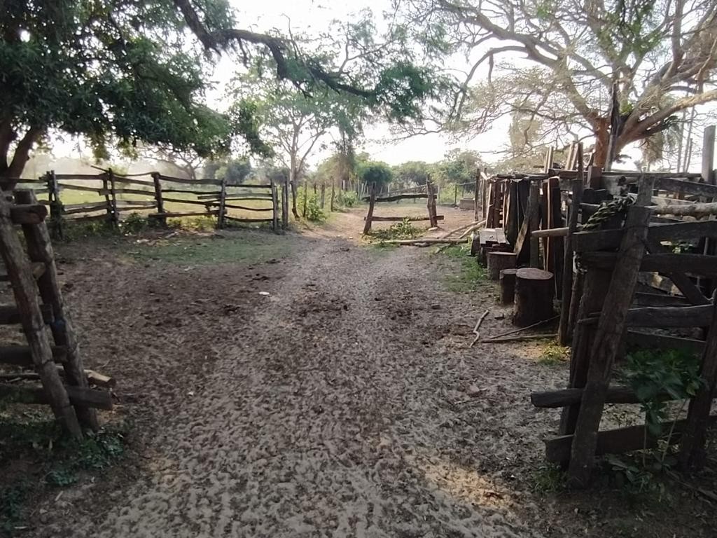 Terreno en VentaWarnes - PROPIEDAD GANADERA URBANIZABLE    Foto 7