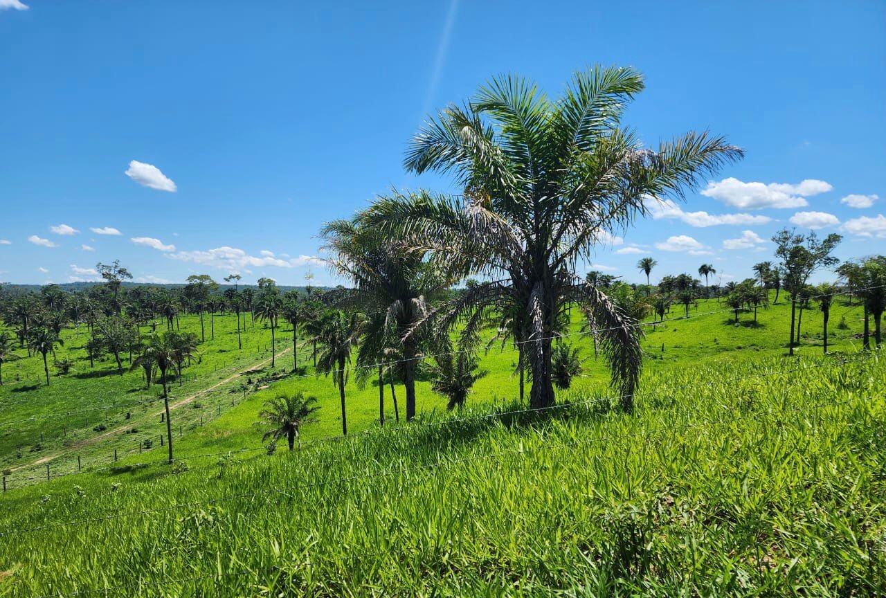 Quinta propiedad agrícola En Venta: 500 Hectáreas Ganaderas en San Javier Foto 1