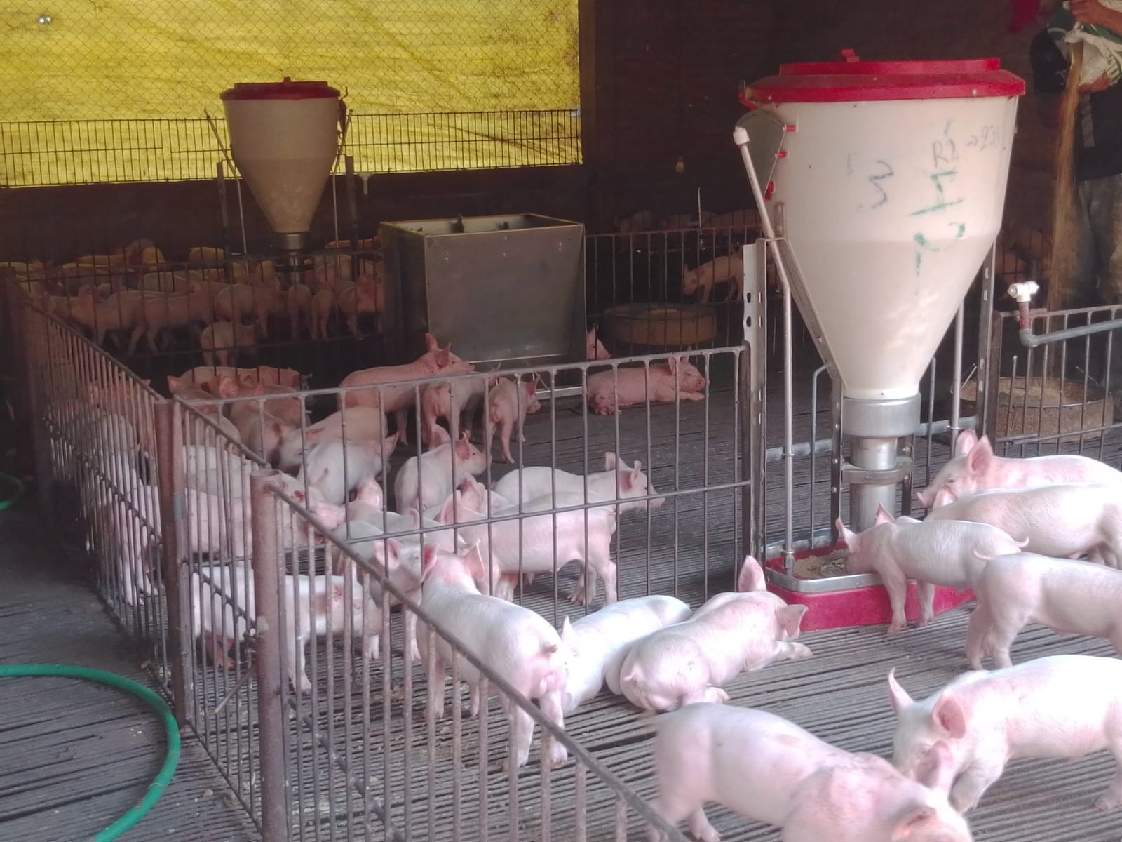 Quinta propiedad agrícola en VentaCOTOCA, ZONA SUE ESTE  Foto 4