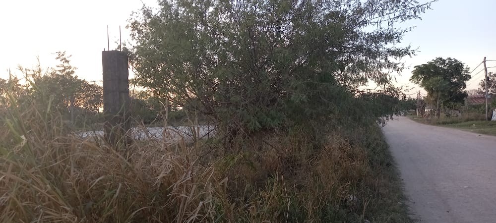 Terreno en VentaLocalidad: Puerto Suárez - Barrio: 3 de Mayo
Puerto Suárez - Bolivia. Foto 4