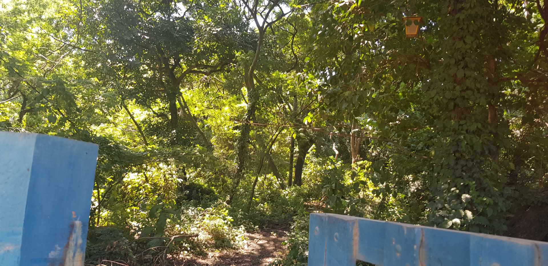 Terreno La Guardia Foto 3