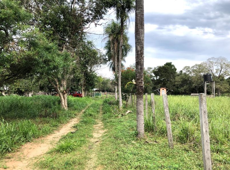 Quinta propiedad agrícola en Zona Nueva Santa Cruz en Santa Cruz de la Sierra    Foto 7
