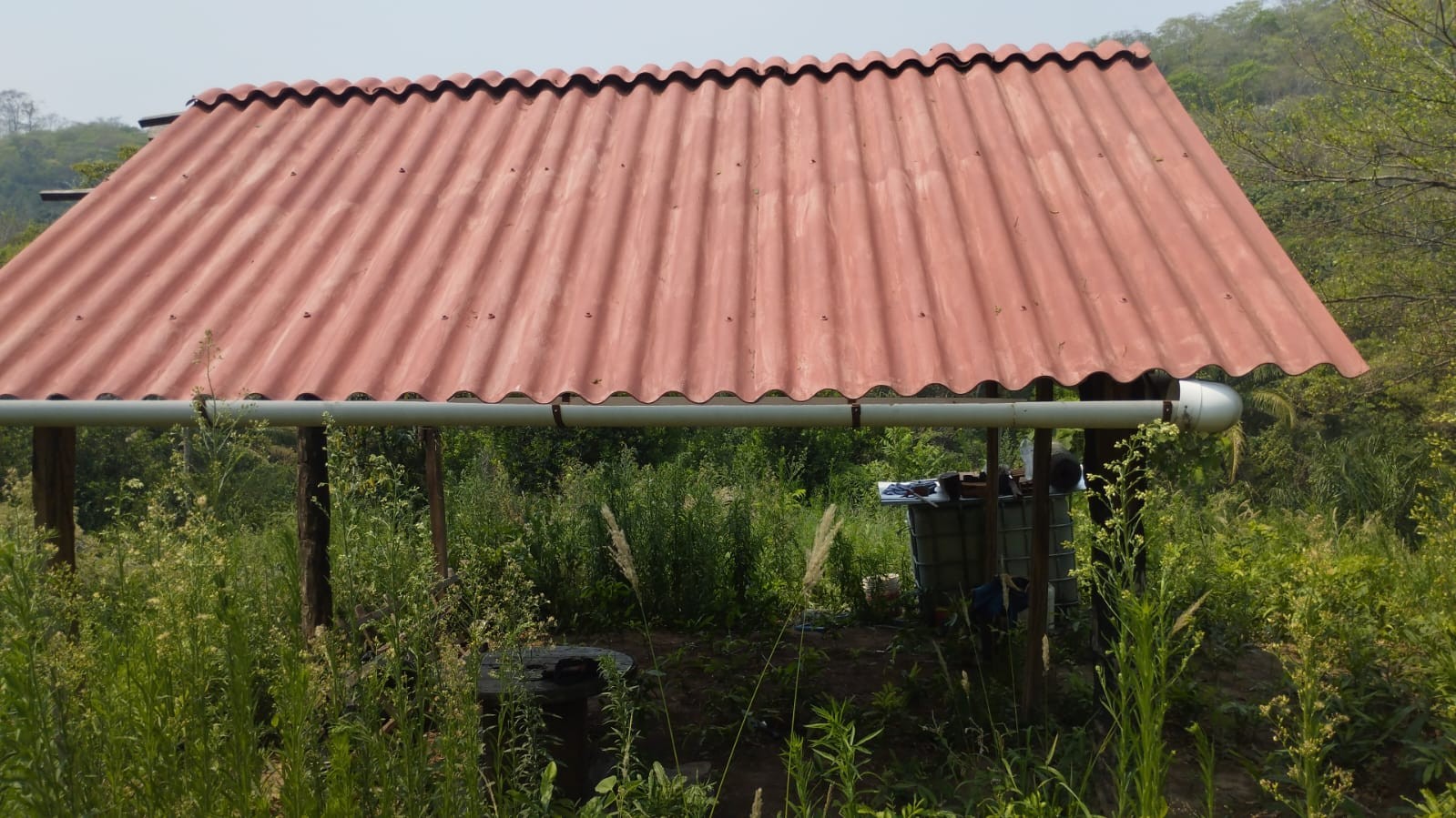 Quinta propiedad agrícola A 6km de Porongo, en la comunidad de Surutubia a 15mn de la plaza de Porongo Foto 1