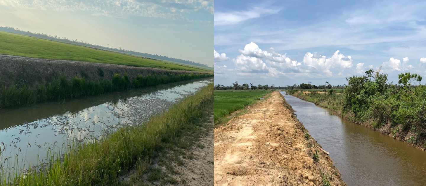 Quinta propiedad agrícola En Venta Propiedad Agrícola con Potencial Ganadero en Marban - Beni Foto 7