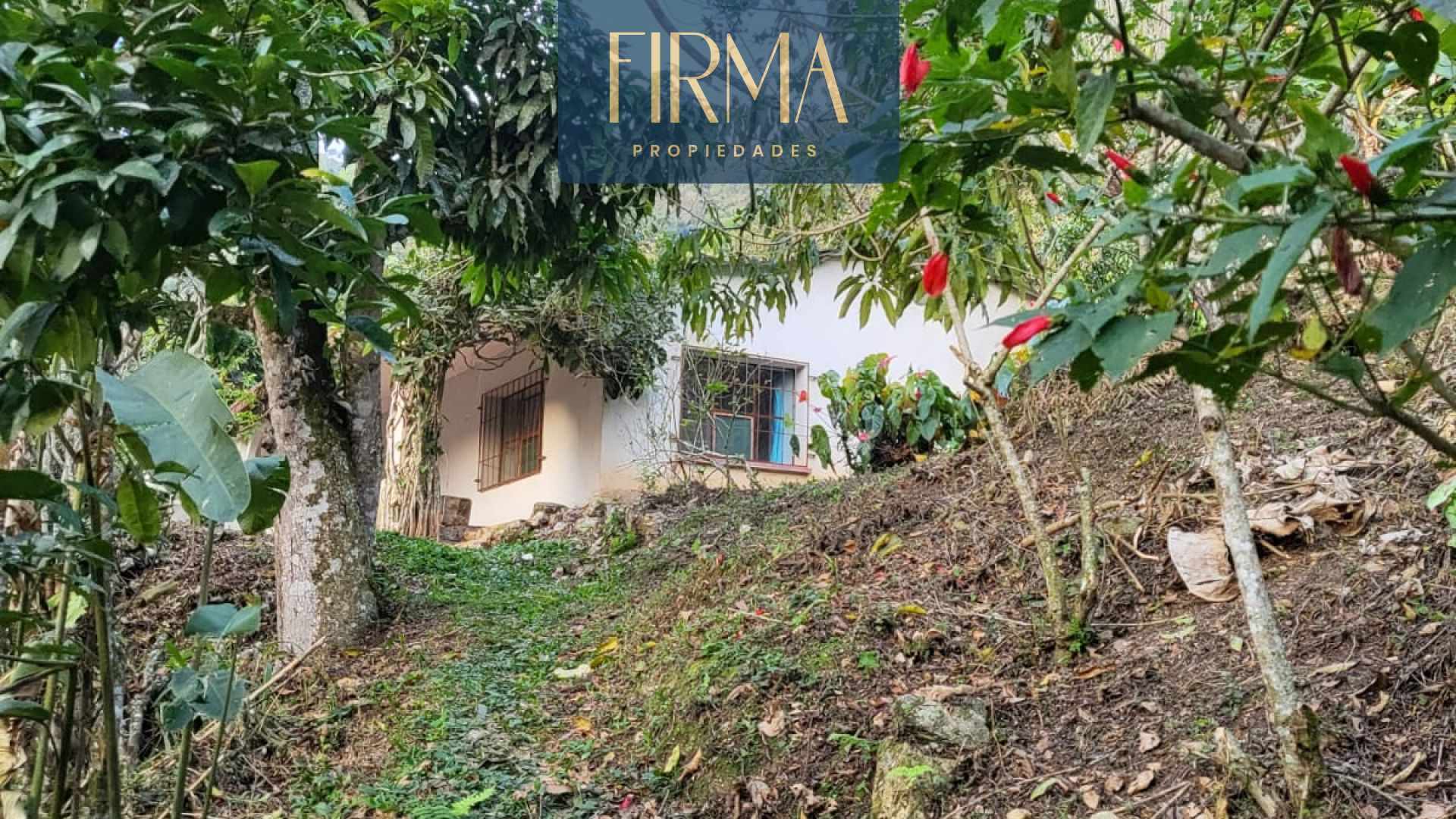 Terreno en Coroico en Coroico    Foto 13