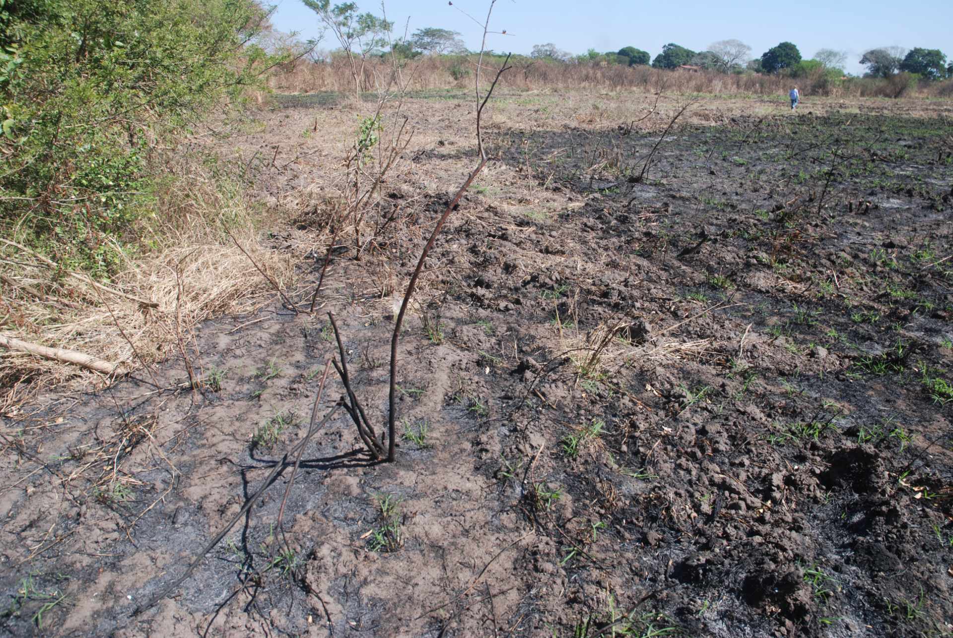 Terreno en VentaCotoca 2do anillo carretera a Pailon, cerca Cofrico Foto 6