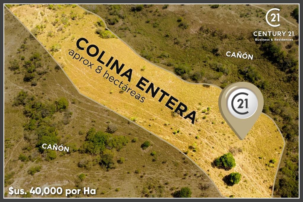 Quinta propiedad agrícola en Urubó en Santa Cruz de la Sierra    Foto 5
