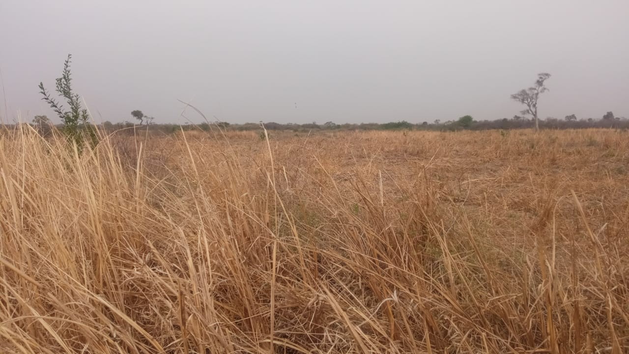 Quinta propiedad agrícola en VentaLinda propiedad  agricola  de 604ha por Pailon Sur, 70km entrando    Foto 1