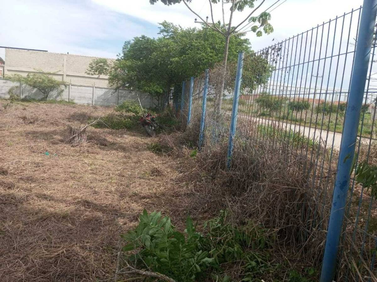 Terreno Av. G77 Foto 2