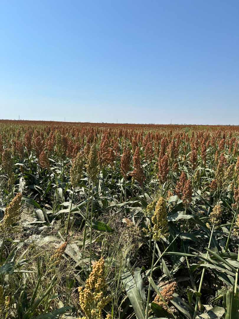 En Venta a $us 3,600,000 Foto 6