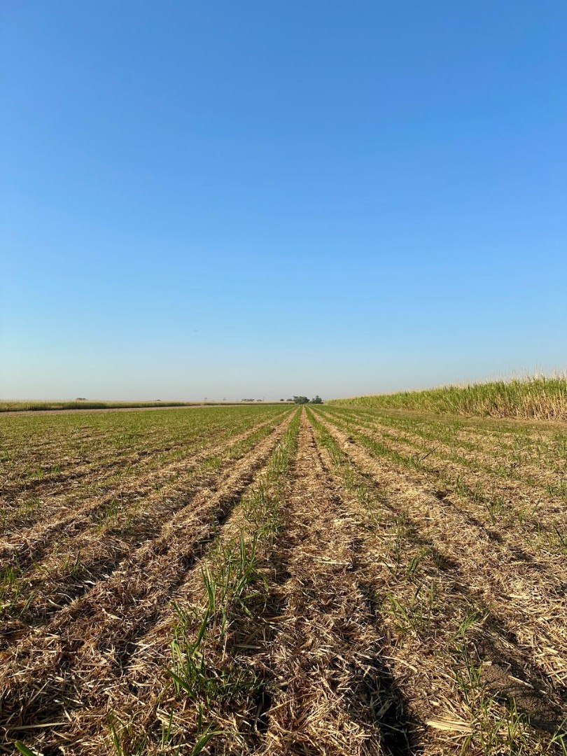 Quinta propiedad agrícola en VentaEn Venta
Propiedad con 100% producción cañera en Montero    Foto 7