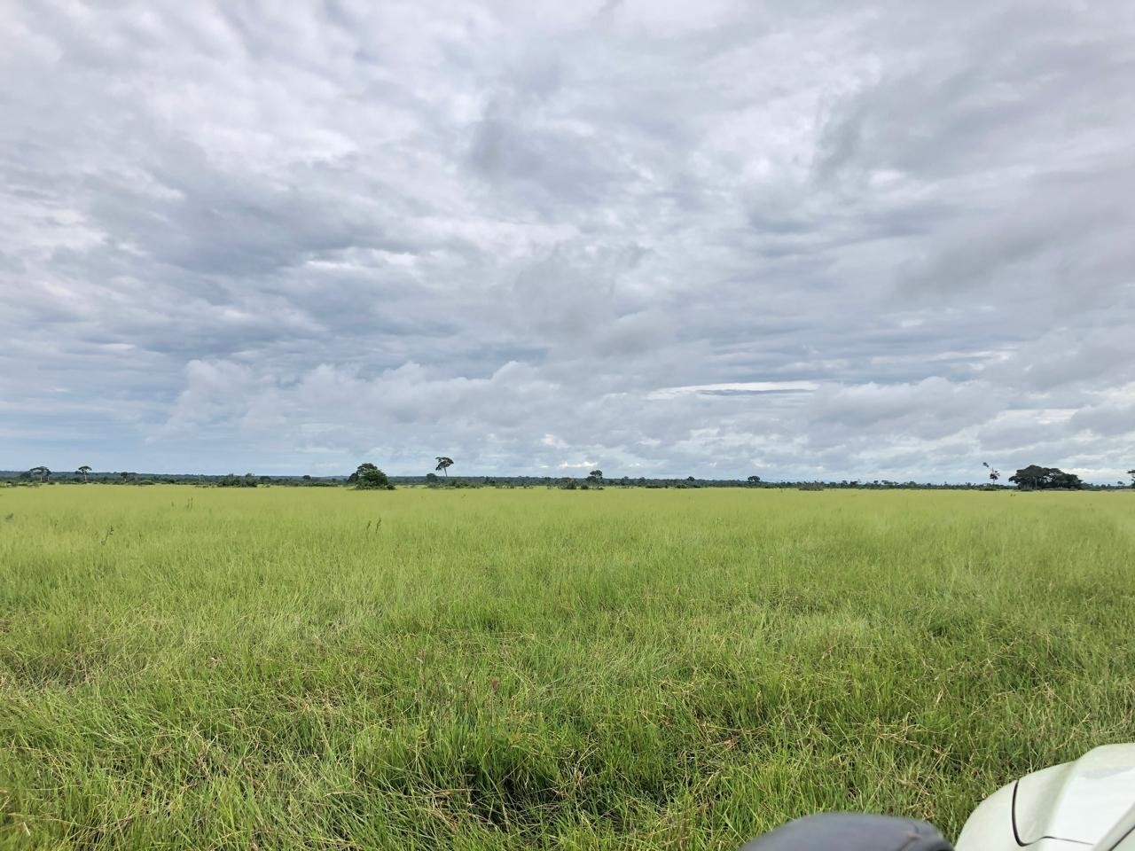 Quinta propiedad agrícola en VentaEn Venta: 13.720 Ganaderas con potencial Agrícola en SIV Foto 12