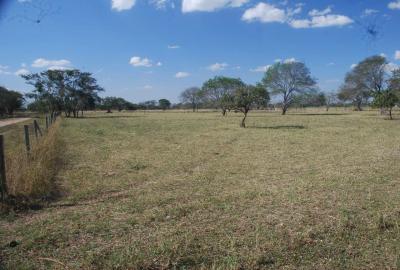 8eb6417d3d147384eb30e2067464e8375814b4