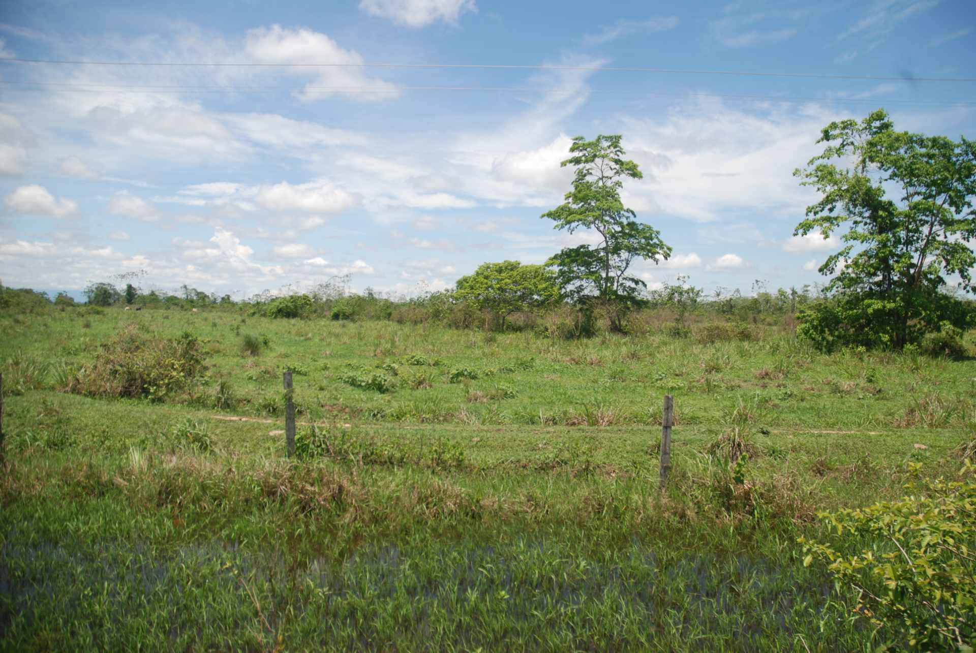 Quinta propiedad agrícola en VentaCerca de Puerto Gretel,  zona Yapacani, camino a estacion Vibora.    Foto 9