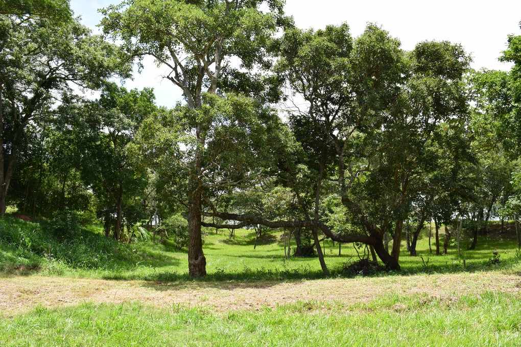 Terreno en Urubó en Santa Cruz de la Sierra    Foto 2