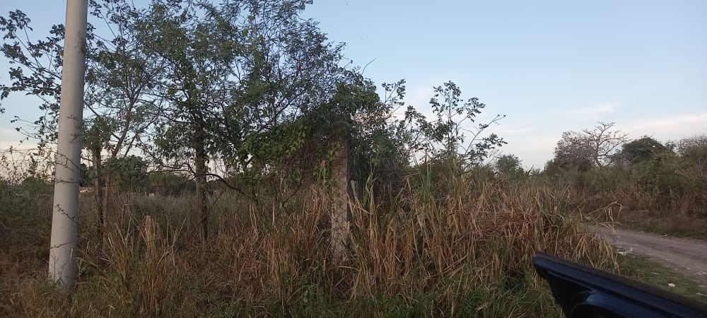 Terreno en VentaLocalidad: Puerto Suárez - Barrio: 3 de Mayo
Puerto Suárez - Bolivia. Foto 6