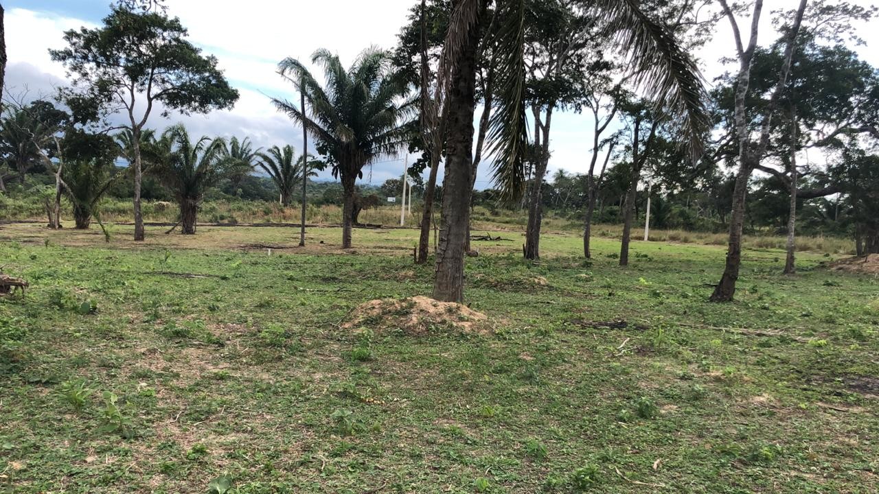 Terreno en VentaUrubo carretera a Porongo, Capihuara. Foto 3