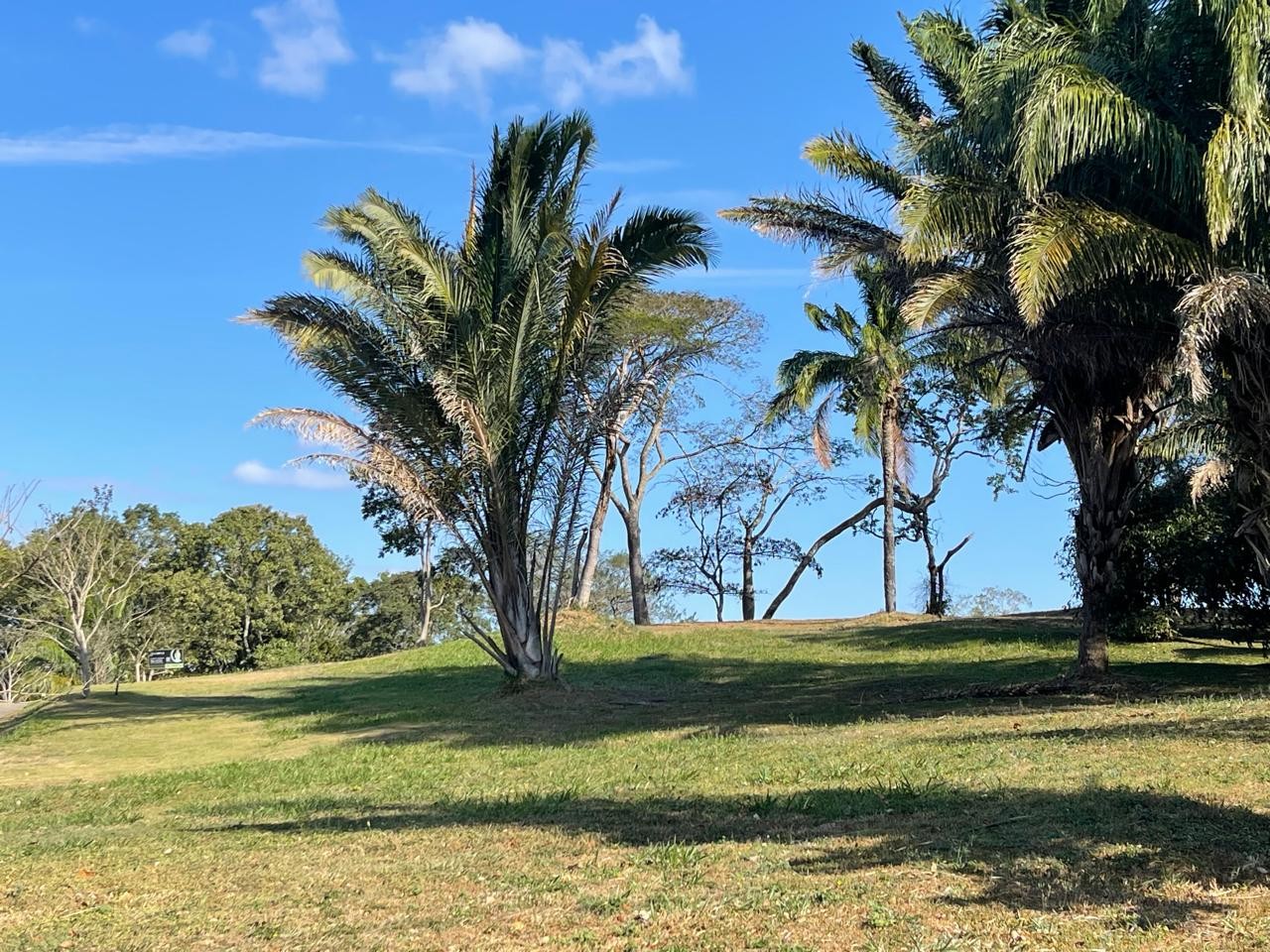 Terreno en VentaHermosos terrenos en altura en condominio Las Palmas del Urubo I    Foto 4