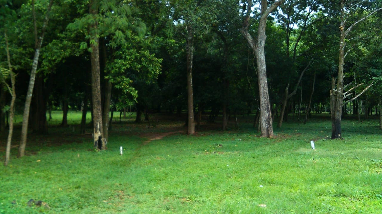 Terreno Buenavista - Resort Quintas Buena Vista Foto 13