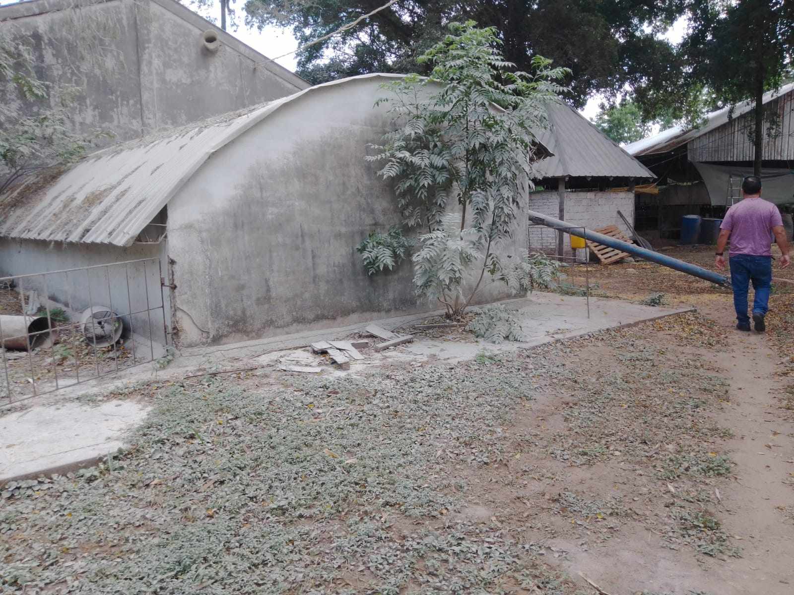 Quinta propiedad agrícola en VentaCOTOCA, ZONA SUE ESTE  Foto 8