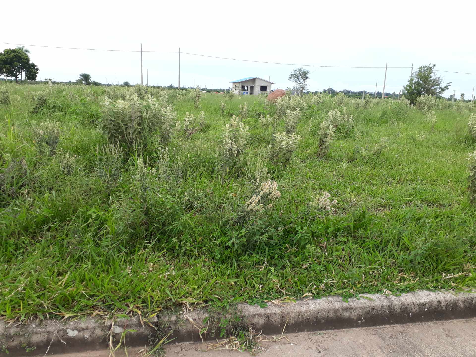 Terreno en VentaSatelite Norte -Pentaguazu 3    Foto 1